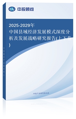 2025-2029Їh(jng)l(f)չģʽȷl(f)չ(zhn)о(¾)