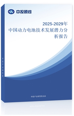 2025-2029Ї늳ؼgl(f)չ?ji)? class='bookImg' /></a></dt>	<dd>		<h4><a target='_blank' href=