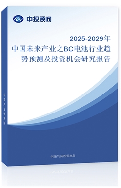 2025-2029Їδa(chn)I(y)֮BC늳ИI(y)څAyͶYCо