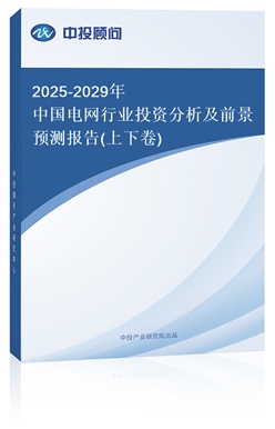 2025-2029Ї늾W(wng)ИI(y)ͶYǰA(y)y(bo)(¾)